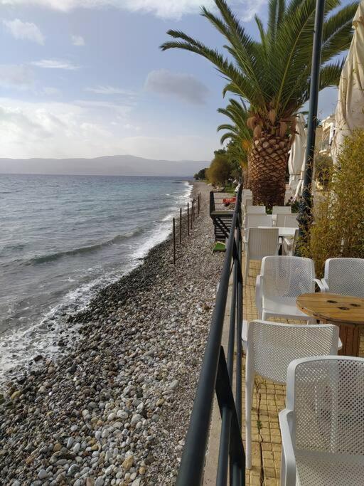 Doll House Next To The Sea 公寓 Agioi Theodoroi